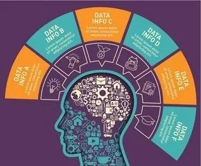 E念潛能開發(fā) 15條大腦喜好法則，助力打造高智商大腦